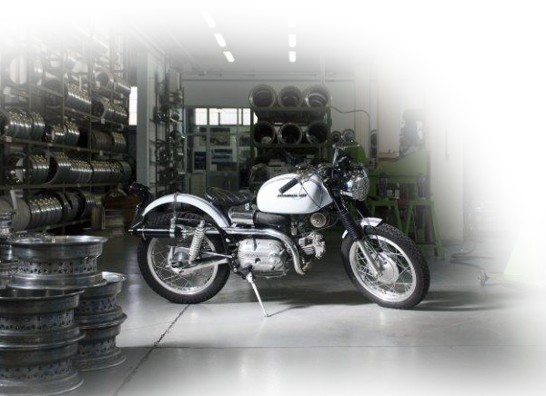 borrani motorcycle rims